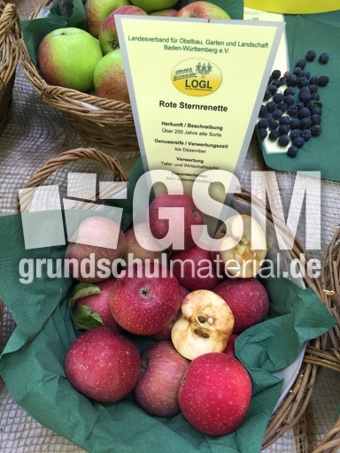 Rote Sternrenette.jpg